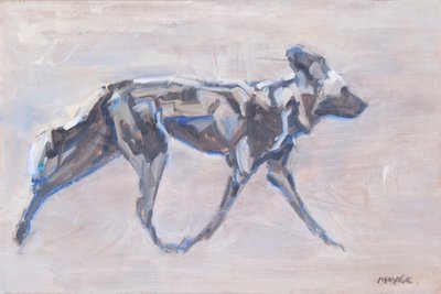 Afrikanischer Wildhund von David Mayer