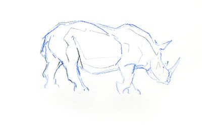 Weißes Nashorn, 2020 von David Mayer
