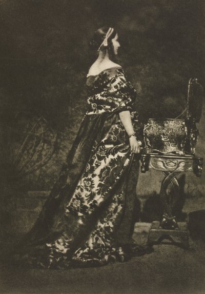 Porträt - Das Kleid und der Sarg von David Octavius Hill