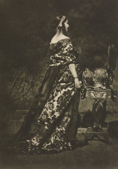 Camera Work: Porträt - Das Kleid und der Sarg, 1909 von David Octavius Hill