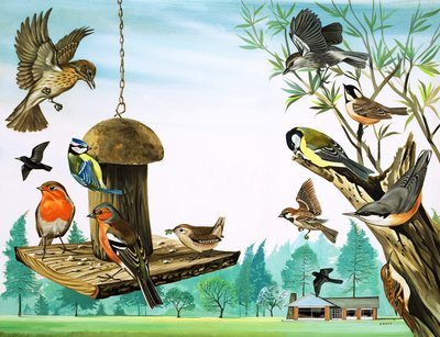 Alle möglichen Vögel um den Gartentisch, Illustration aus 