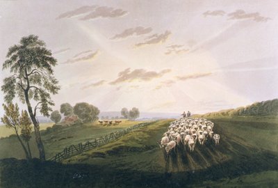 Nachmittag, eine Ansicht in Surrey, Illustration aus A Treatise on Landscape Painting and Effect in Water Colours, 1841 (handkolorierte Aquatinta) von David after Cox
