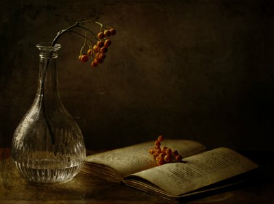 Herbstbeeren und Buch von Delphine Devos