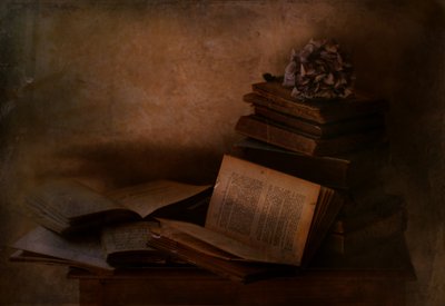 Dunkle Akademie Bücher von Delphine Devos