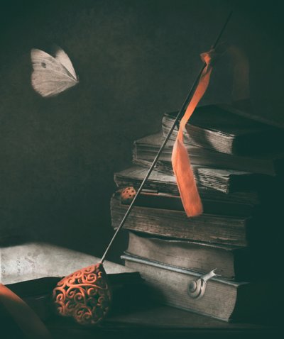 Dunkle Akademie Schmetterling von Delphine Devos