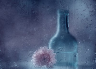 Träumende Regen Gerbera von Delphine Devos