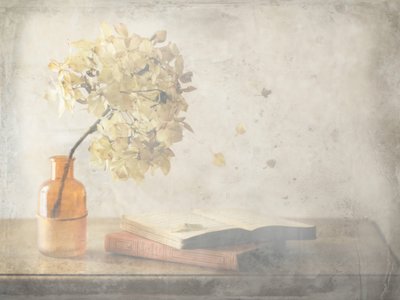 Verblasstes Herbst-Stillleben von Delphine Devos