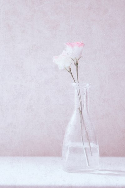 Blumen in Liebe von Delphine Devos