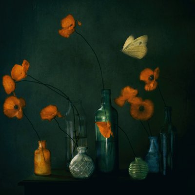 Stimmungsvolle Mohnblumen Schmetterling von Delphine Devos