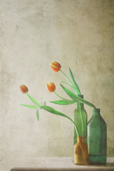 Orange Tulpen in Flaschen von Delphine Devos