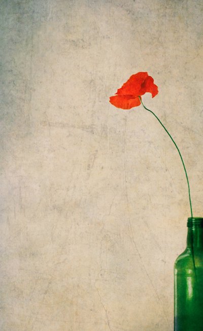 Rustikale Mohnblume und Flasche von Delphine Devos