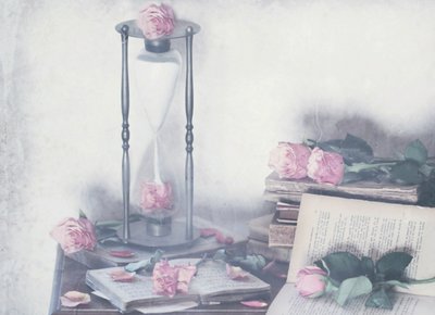 Zeitlose Rosen und Bücher von Delphine Devos