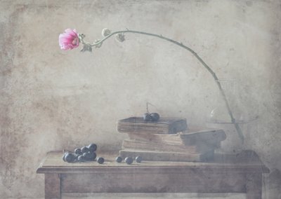 Vintage Bücher und Blüte von Delphine Devos