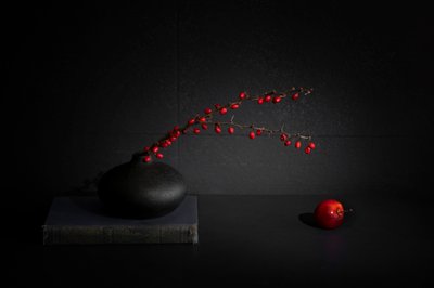 Rote Beeren Schwarze Vase Stillleben von Dennis Zhang
