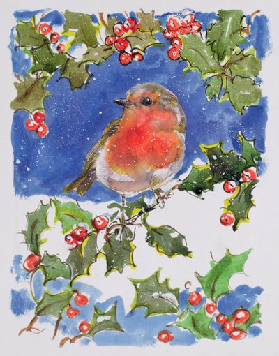 Weihnachtsrotkehlchen, 1996 von Diane Matthes