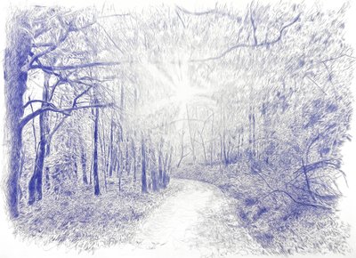 Wald im Gegenlicht von Diego Beyro