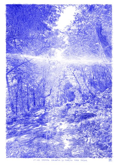 Das Licht findet von Diego Beyro