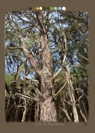 Linien, die Bäume machen, 2022 von Diego Beyro