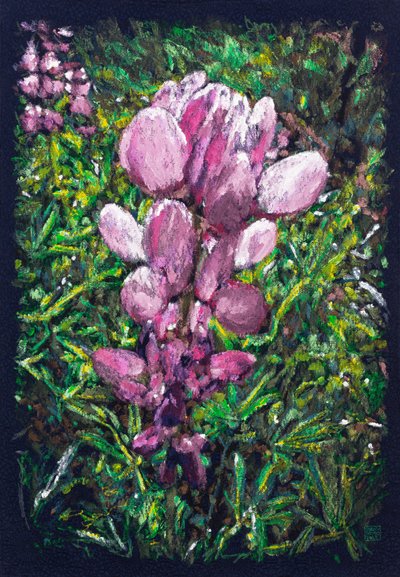 Spanischer Lupin nahe La Calzada de Bejar, 2025 von Diego Beyro