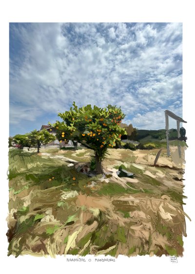 Orangen oder Mandarinen von Diego Beyro