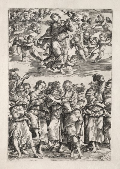 Mariä Himmelfahrt von Domenico Campagnola