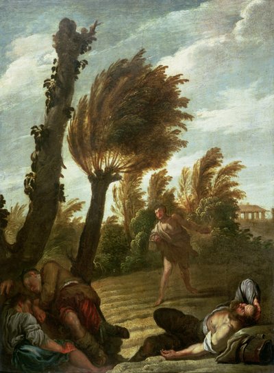 Gleichnis vom Sämann und dem Unkraut, ca. 1620-21 von Domenico Fetti or Feti