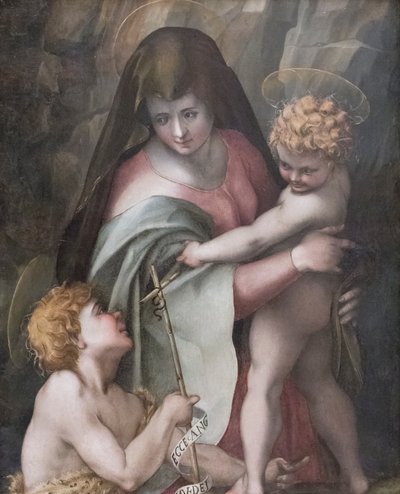 Madonna mit Kind und dem jungen St. Johannes, Domenico Puligo von Domenico Puligo