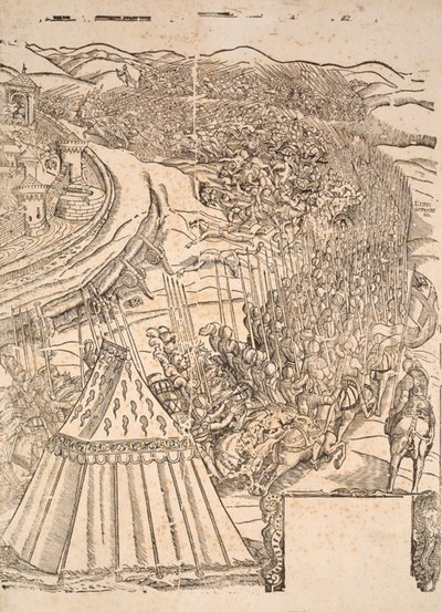 Einnahme von Goleta in Tunis durch Karl V. von Domenico dei Franceschi