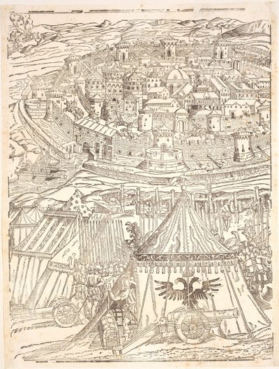 Einnahme von Goleta in Tunis durch Karl V. von Domenico dei Franceschi