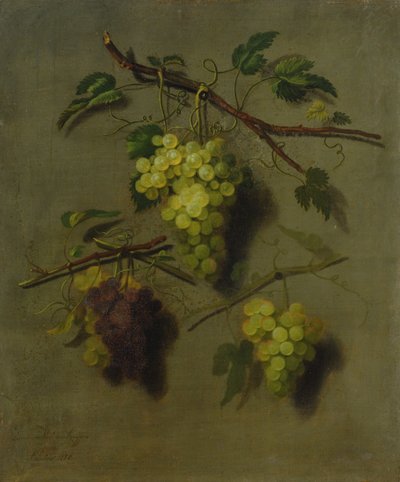 Stillleben, 1738 von Dominicus Van der Smissen