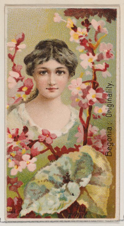 Begonie: Originalität, aus der Serie Floral Beauties and Language of Flowers N75 für Du..., 1892 von Donaldson Brothers