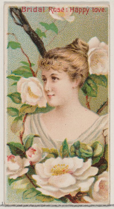 Brautrose: Glückliche Liebe, aus der Serie Blumenpracht und Blumensprache N75 für..., 1892 von Donaldson Brothers
