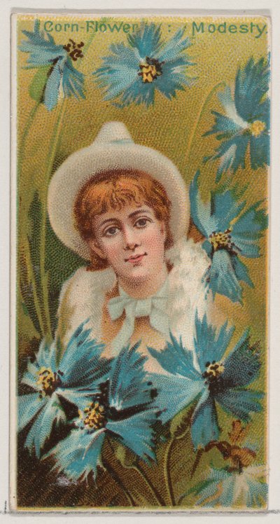 Kornblume: Bescheidenheit, aus der Serie Floral Beauties and Language of Flowers N75 für Duk..., 1892 von Donaldson Brothers