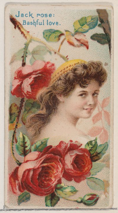Schüchterne Liebe, aus der Serie Blumen-Schönheiten und Blumensprache von Donaldson Brothers