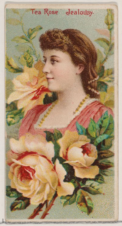 Teerose: Eifersucht, aus der Serie Blumenschönheiten und Blumensprache N75 für Duke, 1892 von Donaldson Brothers