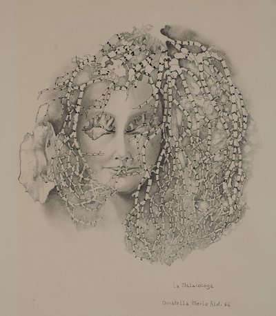 Die Malakologie von Donatella Merlo