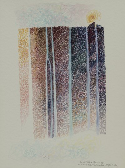 Tronador-Wasserfälle, Argentinien von Donatella Merlo