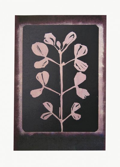 Dunkle botanische Silhouette von Doris Schmitz