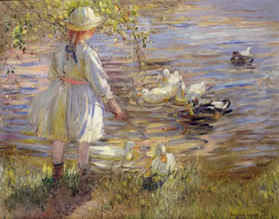 Enten füttern von Dorothea Sharp