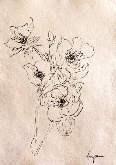 Zarte Blumenskizze von Dorothy Fagan