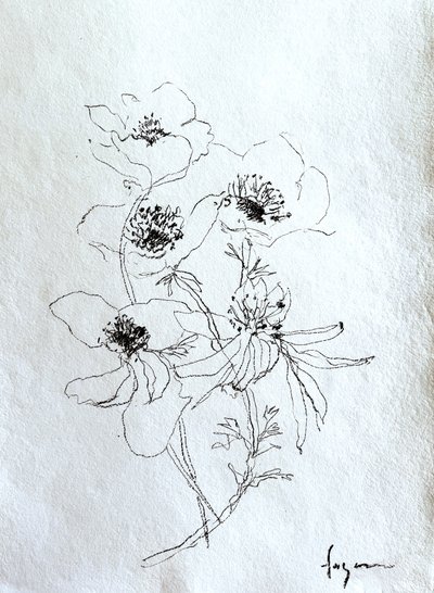 Zarte Blumenskizze von Dorothy Fagan