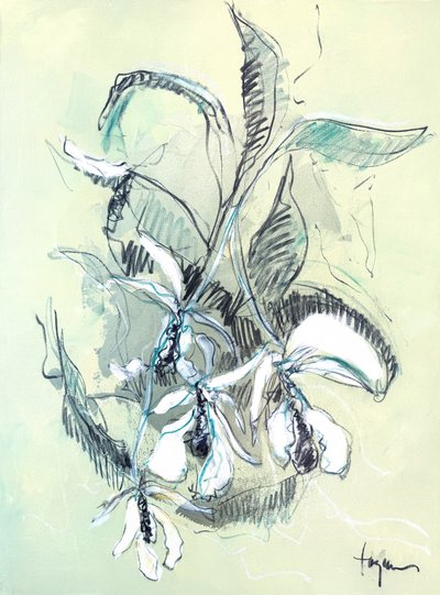 Zarte Orchideenskizze von Dorothy Fagan