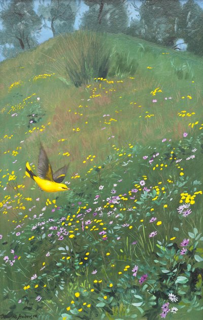Goldene Pirol in Frühlingsblumen von Douglas Anderson