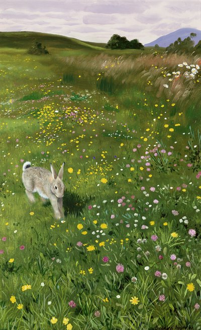 Hase in Frühlingsblumen von Douglas Anderson