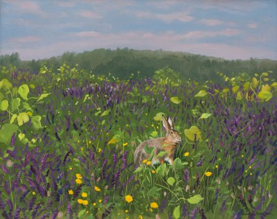 Hase in Reben und Wicke 2000 von Douglas Anderson