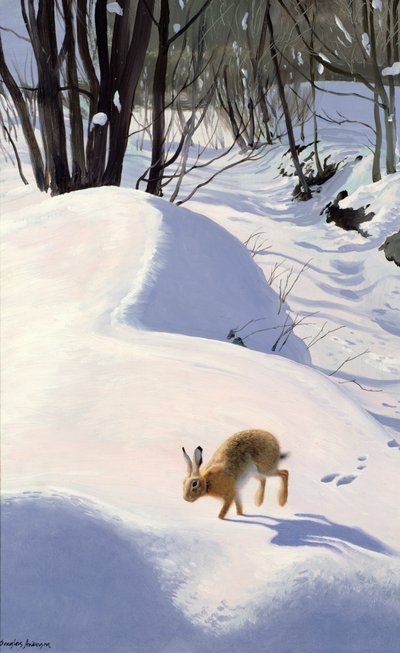Hase im Schnee von Douglas Anderson