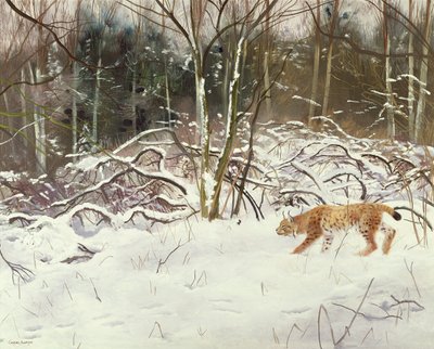 Luchs und Hase von Douglas Anderson