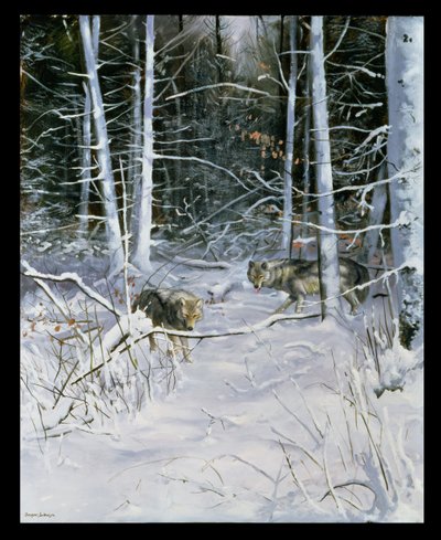 Wölfe in einem verschneiten Wald von Douglas Anderson