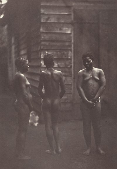 Drei madagassische Frauen (Tafel 30) von Désiré Charnay