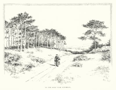 Auf der Straße nahe Hindhead von Duncan Moul